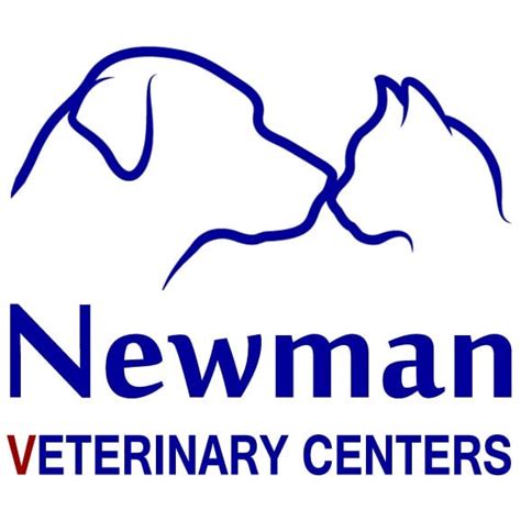 newman vet daytona|vets in daytona beach.